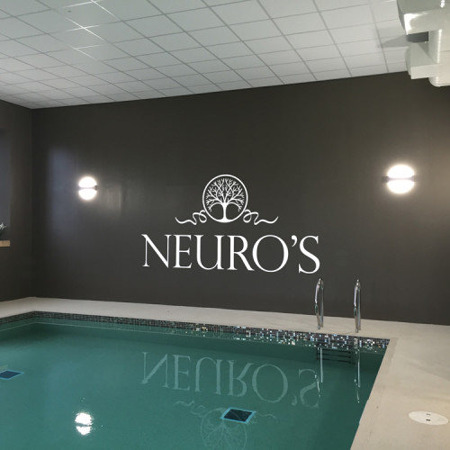 Picture of Neuro's Spa 12m heated pool